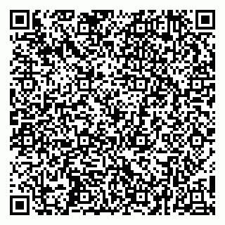 vCard 79252104161