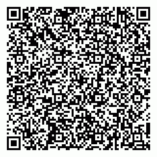 vCard 79252104163