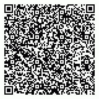 vCard 79252104171