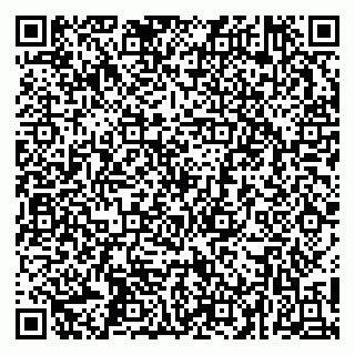 vCard 79252104173