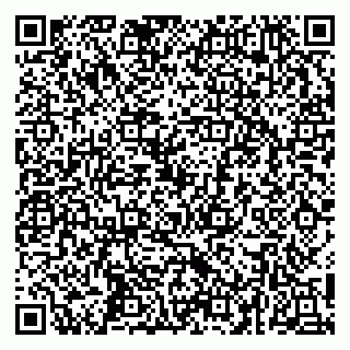 vCard 79252104174