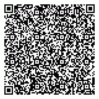 vCard 79252104177