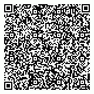 vCard 79252104178