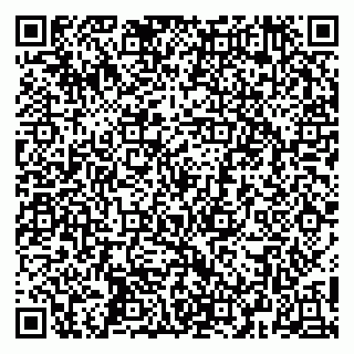 vCard 79252104181