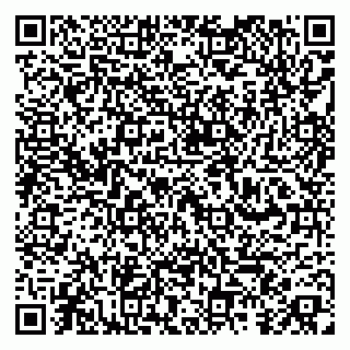 vCard 79252104183