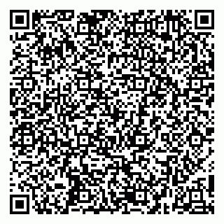 vCard 79252104199