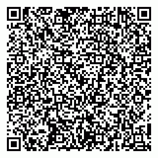 vCard 79252104203
