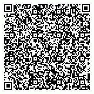 vCard 79252104207