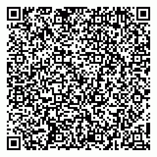 vCard 79252104209