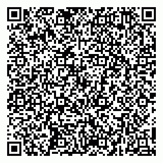 vCard 79252104210