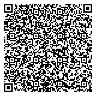 vCard 79252104211