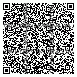 vCard 79252104217