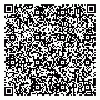 vCard 79252104227