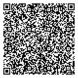 vCard 79252104228