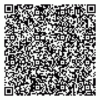 vCard 79252104232