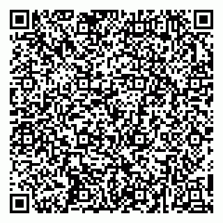 vCard 79252104235