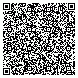 vCard 79252104236