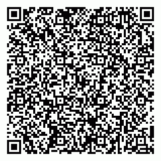 vCard 79252104238