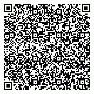 vCard 79252104239