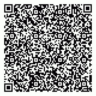 vCard 79252104243