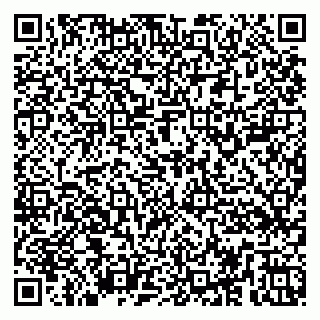 vCard 79252104263