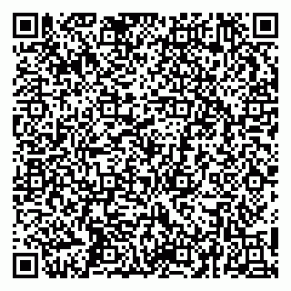 vCard 79252104267