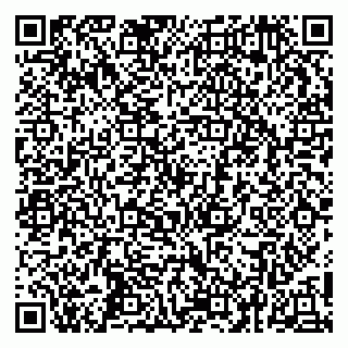 vCard 79252104269