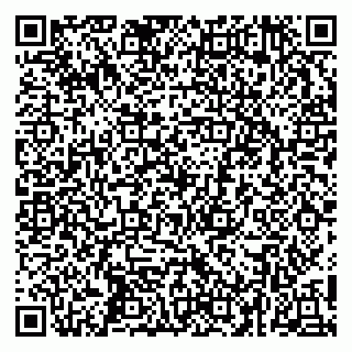 vCard 79252104271