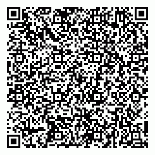 vCard 79252104272