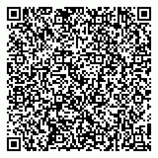 vCard 79252104273