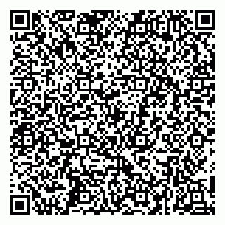 vCard 79252104274