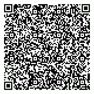 vCard 79252104276