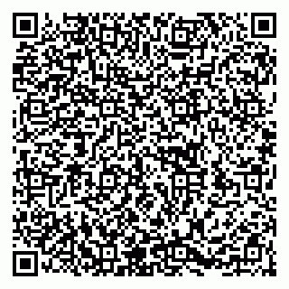 vCard 79252104279