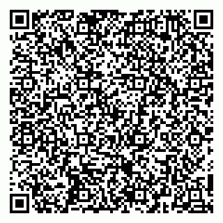 vCard 79252104280