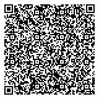 vCard 79252104285