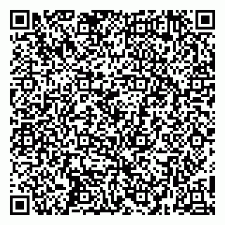 vCard 79252104291