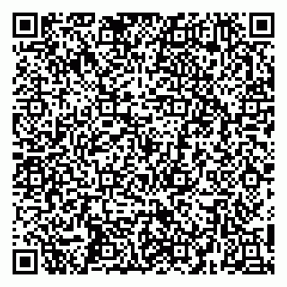 vCard 79252104294