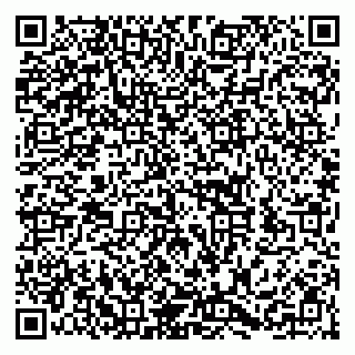 vCard 79252104295