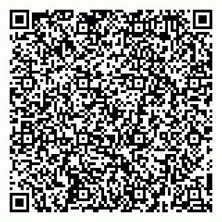 vCard 79252104298