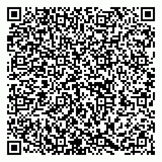 vCard 79252104299
