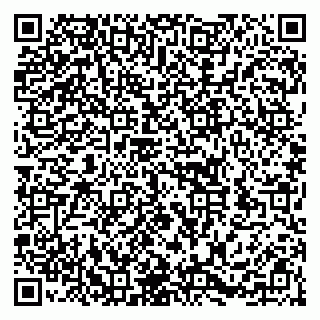 vCard 79252104303