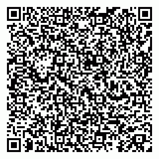 vCard 79252104308