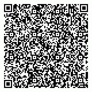 vCard 79252104313