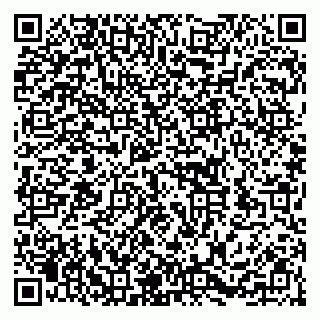 vCard 79252104317