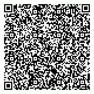 vCard 79252104318