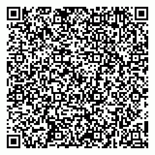 vCard 79252104319