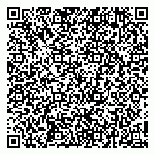 vCard 79252104321