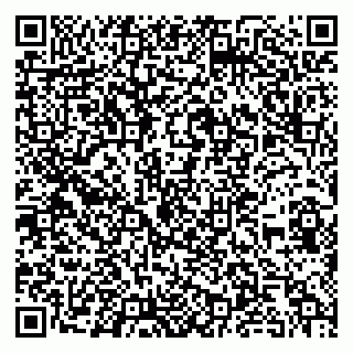 vCard 79252104329