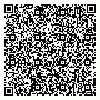 vCard 79252104332