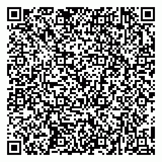vCard 79252104333